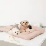 スリッパロープトイ - Image 4