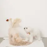 ノーズワークバイカラーマット - Image 3