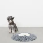 ノーズワークバイカラーマット - Image 5