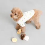 きのこのノーズワークおもちゃ - Image 2