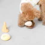 きのこのノーズワークおもちゃ - Image 5