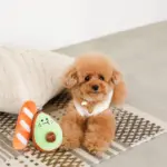 アボカドとパンのおもちゃ - Image 3