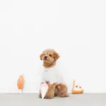 パーティーセットのおもちゃ - Image 3