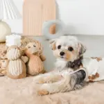 コーデュロイのあひるさん - Image 2