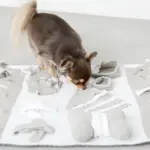 ノーズワークデコレーションバイカラーマット - Image 6