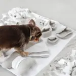 ノーズワークデコレーションバイカラーマット - Image 7