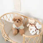 ネックリボンくまさん - Image 7