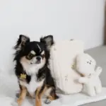 白いイヌさん - Image 2