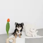 白いイヌさん - Image 5