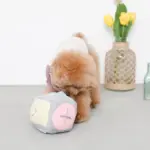 ノーズワークサイコロボール - Image 3