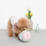 ノーズワークサイコロボール - Image 6