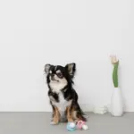 手編みのおしゃぶりおもちゃ - Image 5