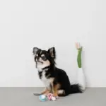 手編みのおしゃぶりおもちゃ - Image 8