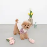 ピンクのスイカのおもちゃ - Image 4