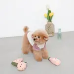 ピンクのトマトソースのおもちゃ - Image 3