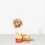 ハンバーガーとポテトのおもちゃ - Image 3