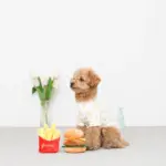 ハンバーガーとポテトのおもちゃ - Image 4