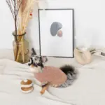 ノーズワークホットケーキ - Image 5