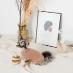 ノーズワークホットケーキ - Image 9