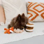 ノーズワークホットケーキ - Image 10