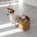 コーデュロイのサルさん - Image 4