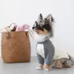 コーデュロイのブタさん - Image 4