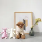 コーデュロイのブタさん - Image 6