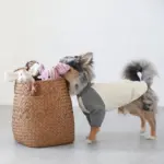 コーデュロイのブタさん - Image 7