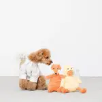 コーデュロイのアヒルさん - Image 5