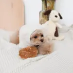 ドーナツおもちゃ - Image 6