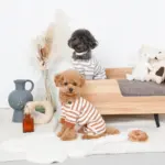 ドーナツおもちゃ - Image 9