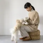 ひつじさん - Image 2