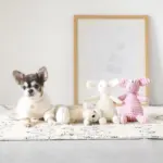 ひつじさん - Image 3