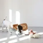 ひつじさん - Image 6