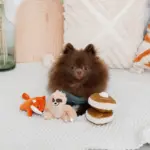 ちいさなキツネさん - Image 2