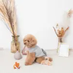 ちいさなキツネさん - Image 3