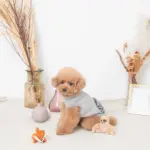 ちいさなキツネさん - Image 6