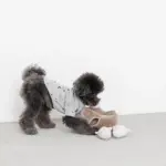 3匹のねずみさんのおもちゃ おうち付 - Image 4