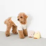 食パンちゃん - Image 2