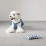 ギンガムチェックボーン - Image 3