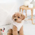 ツリーとトナカイ - Image 8