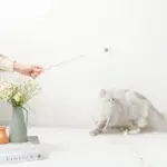 リボン付ビーズねこじゃらし - Image 2