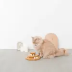 ナチュラルウッドボール回転盤 - Image 3