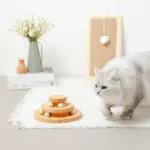 ナチュラルウッドボール回転盤 - Image 4