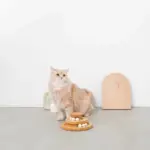 ナチュラルウッドボール回転盤 - Image 6