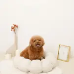 ギンガムチェックドーナツクッションベッド - Image 3