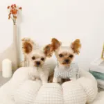 ギンガムチェックドーナツクッションベッド - Image 8