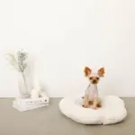 フラワーファークッションベッド - Image 5