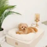 低反発まくら付きスロープクッションベッド - Image 4