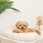 低反発まくら付きスロープクッションベッド - Image 6